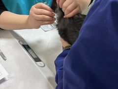 -派特宠物医院(圆融广场店)