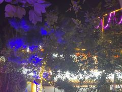 -后海彼岸花园餐厅