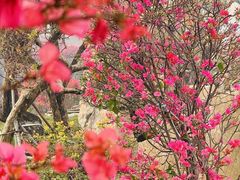 -沂蒙云瀑洞天景区