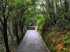 -井冈山革命烈士陵园