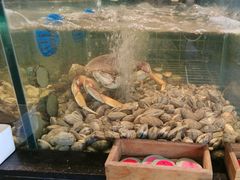 -黄山老妈·土菜(碧桂园店)