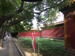 -北京国子监胡同