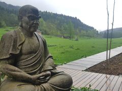 -武陵山森林公园