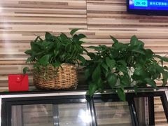 -大鸭梨烤鸭(车站路店)