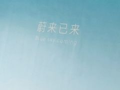 -蔚来体验中心(北京亦庄店)