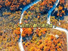 -沉浸北京·团建旅行·密室剧本杀·年会会议轰趴拓展