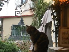 -海边的猫和咖啡馆