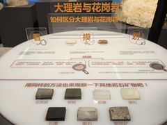 -浙江自然博物院(杭州馆)