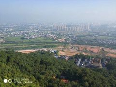 景点-神光山国家森林公园