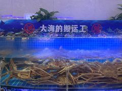 -驻海渔市(置信店)