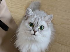 -宠颐生宠物医院·犬猫全科·皮肤科(商业街店)