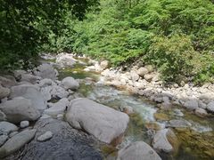 -青峰峡国家森林公园