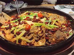 -老板恋上鱼(恒隆广场店)