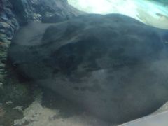 -常州海昌海洋探索馆