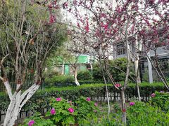 -西安市长乐公园