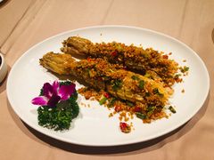 椒盐富贵虾-陶陶居海鲜酒家(新马路店)