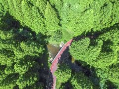 -黄海国家森林公园