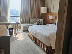 -徐州博顿温德姆酒店(高铁东站店)