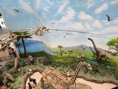 -辽宁古生物博物馆