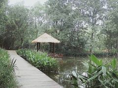 -溱湖国家湿地公园