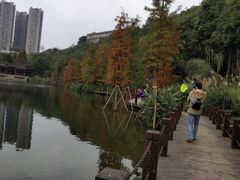 -重庆彩云湖湿地公园