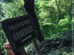 -白公馆