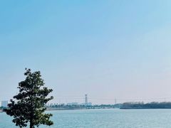 -漕湖湿地公园
