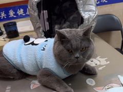 -艾贝尔宠物医院·狂犬免疫点(江山金象城店)