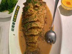 -谷雨春红烧鲤鱼(经三路店)