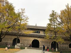 -灵谷景区