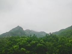 -大连天门山国家森林公园