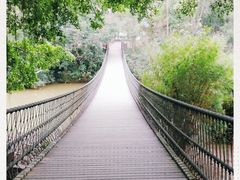 -南宁良凤江国家森林公园