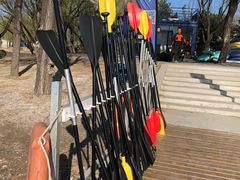 -WhaleSports户外水上运动俱乐部(朝阳公园店)