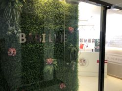 -babiline芭比莱恩半永久纹眉纹唇发际线