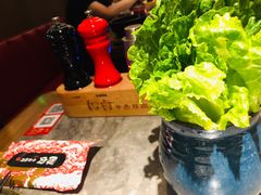 生菜-厚贞日式烤肉(龙之梦店)
