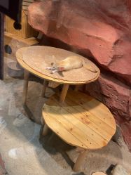 -Zoolung Zoolung动物主题公园(海信广场店)