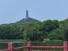 -北坞公园