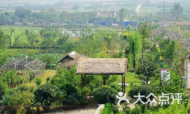 禾泉农庄生态餐厅-图片-怀远县美食-大众点评网