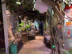 -正佳雨林生态植物园