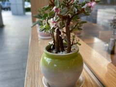 -一品小笼(金融街店)
