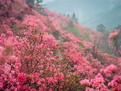 -木兰云雾山