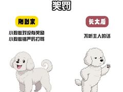 -谐和益家动物医院·免疫绝育·血液透析·宠保定点医院(高新伊藤分院)