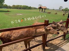 -良渚古城遗址公园