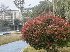 -宁波儿童公园(鄞州区)