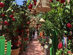-The Grounds of Alexandria
