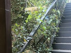 -宅里香.自然餐厅(湘大店)