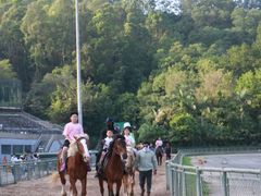-深圳野生动物园