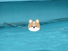 -亚马逊丛林水乐园