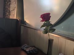 -三强鸽子(胜利路店)