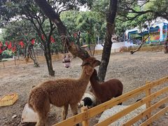 -光明农场大观园
